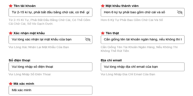 Nhập chính xác thông tin đăng ký DP568