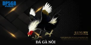 đá gà nòi 