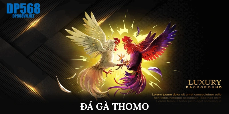 đá gà Thomo 