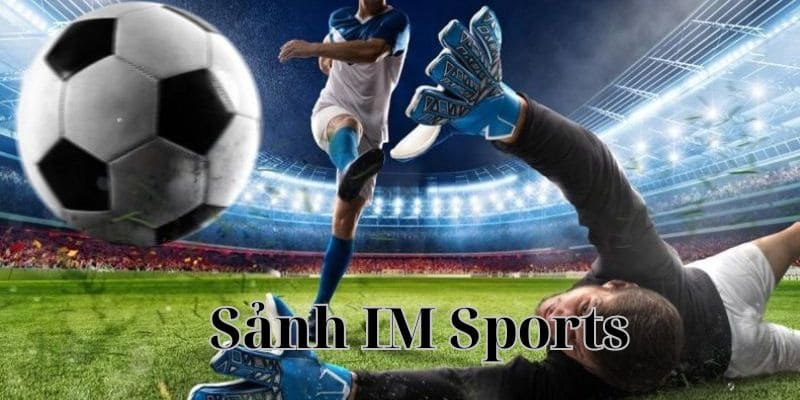 Giới thiệu về sảnh IM Sports