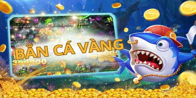 Hướng dẫn cách chơi cơ bản