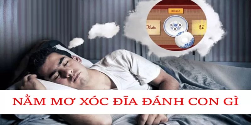 Khám phá thông điệp tiềm ẩn sau giấc mơ xóc đĩa đánh con gì