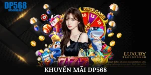 Khuyến mãi DP568 