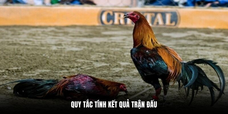 Quy tắc tính kết quả trận đấu